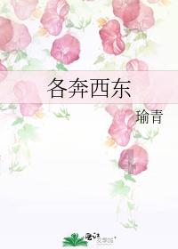 祁连国际盘中异动 早盘快速下跌7.09%报0.551美元